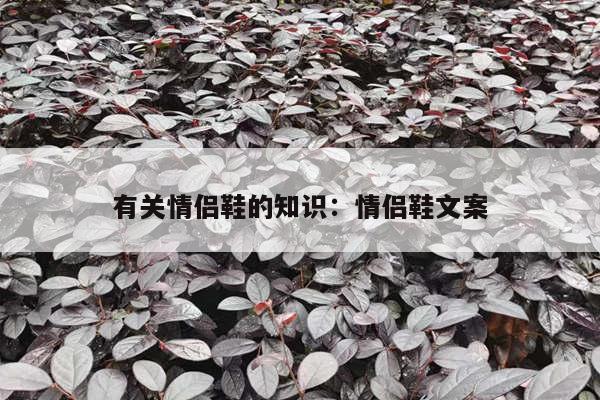 有关情侣鞋的知识：情侣鞋文案