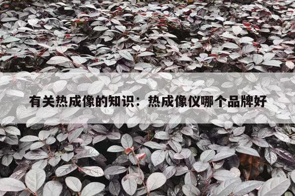 有关热成像的知识：热成像仪哪个品牌好