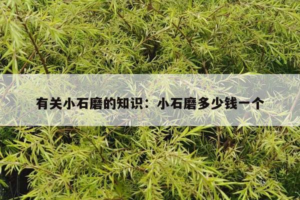 有关小石磨的知识：小石磨多少钱一个