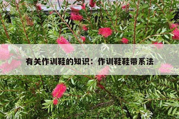 有关作训鞋的知识：作训鞋鞋带系法
