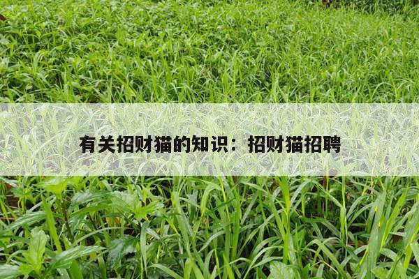 有关招财猫的知识：招财猫招聘