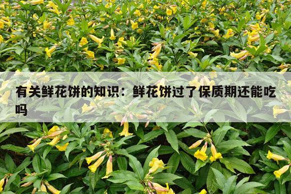 有关鲜花饼的知识：鲜花饼过了保质期还能吃吗