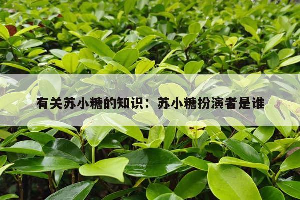 有关苏小糖的知识：苏小糖扮演者是谁