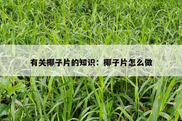 有关椰子片的知识：椰子片怎么做