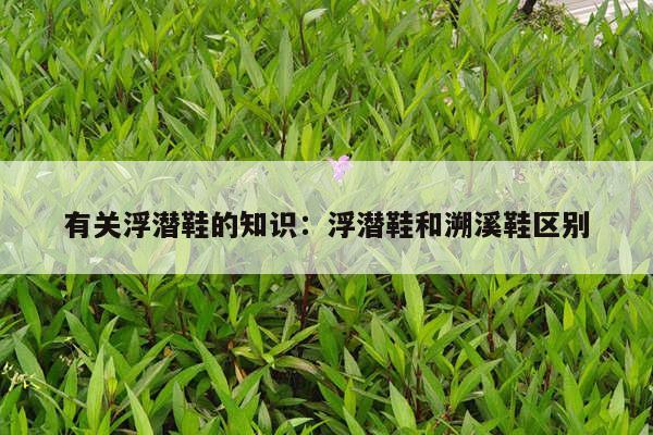 有关浮潜鞋的知识：浮潜鞋和溯溪鞋区别