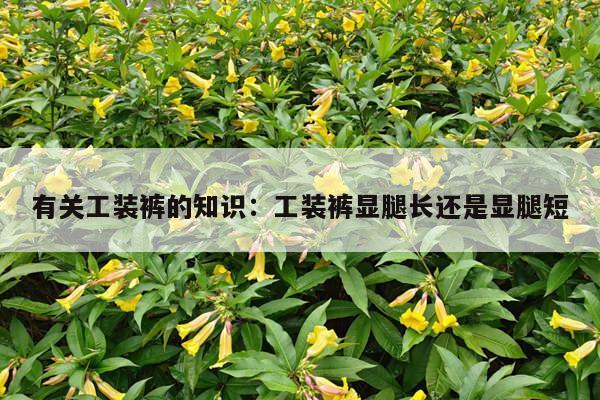 有关工装裤的知识：工装裤显腿长还是显腿短