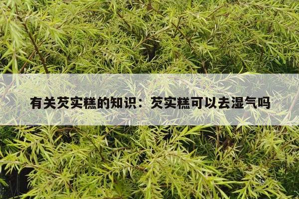 有关芡实糕的知识：芡实糕可以去湿气吗