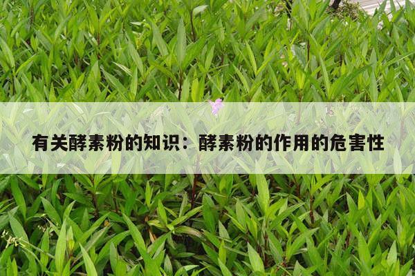 有关酵素粉的知识：酵素粉的作用的危害性