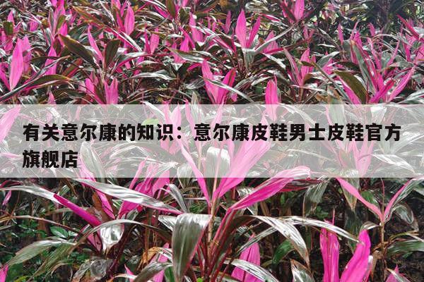 有关意尔康的知识：意尔康皮鞋男士皮鞋官方旗舰店