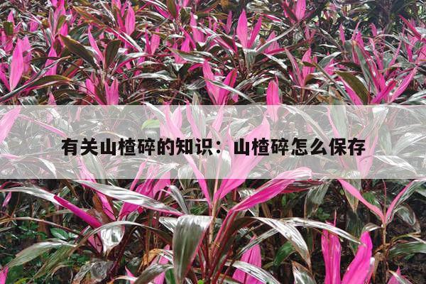 有关山楂碎的知识：山楂碎怎么保存