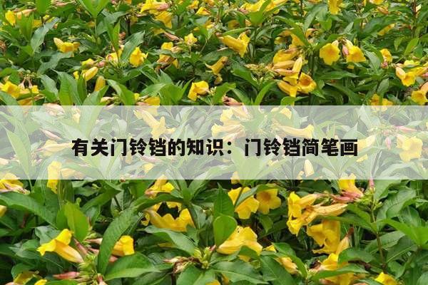 有关门铃铛的知识：门铃铛简笔画