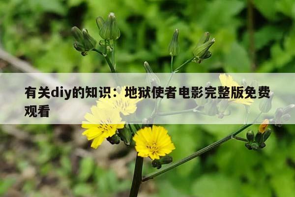 有关diy的知识：地狱使者电影完整版免费观看