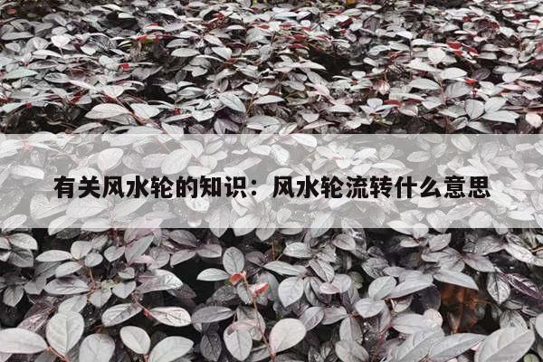 有关风水轮的知识：风水轮流转什么意思