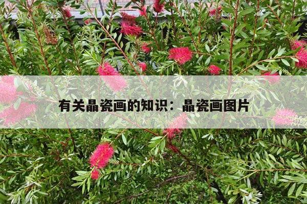 有关晶瓷画的知识：晶瓷画图片