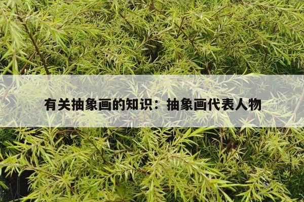 有关抽象画的知识：抽象画代表人物