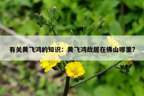 有关黄飞鸿的知识：黄飞鸿故居在佛山哪里?