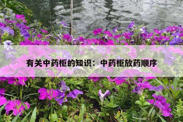 有关中药柜的知识：中药柜放药顺序