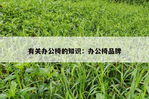 有关办公椅的知识：办公椅品牌