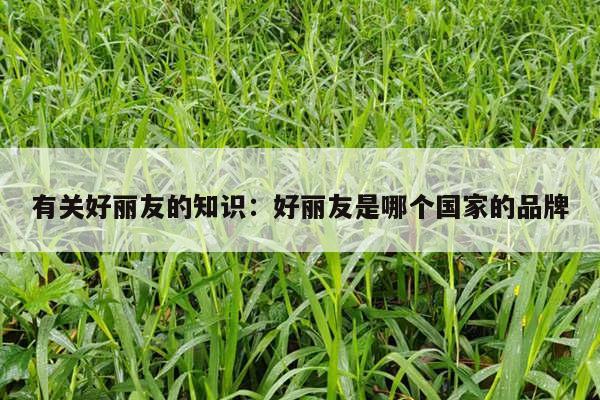 有关好丽友的知识：好丽友是哪个国家的品牌