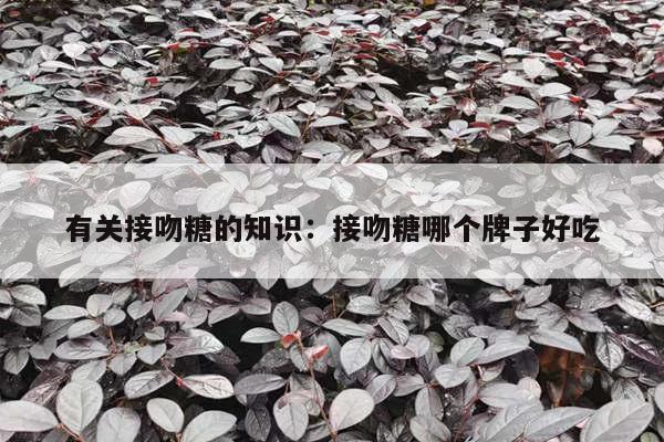 有关接吻糖的知识：接吻糖哪个牌子好吃