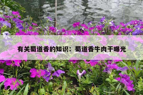 有关蜀道香的知识：蜀道香牛肉干曝光