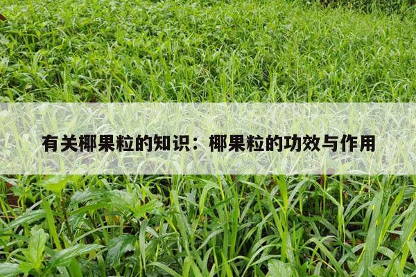 有关椰果粒的知识：椰果粒的功效与作用
