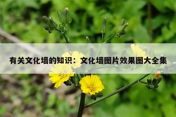 有关文化墙的知识：文化墙图片效果图大全集