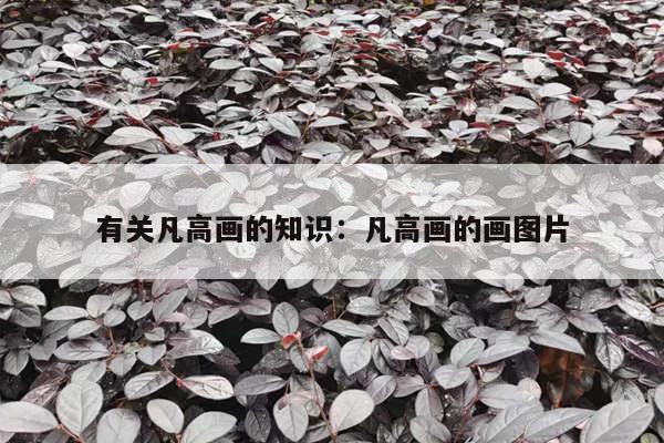 有关凡高画的知识：凡高画的画图片
