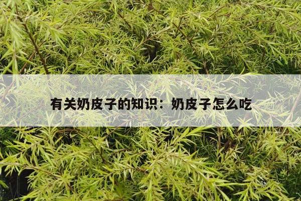 有关奶皮子的知识：奶皮子怎么吃