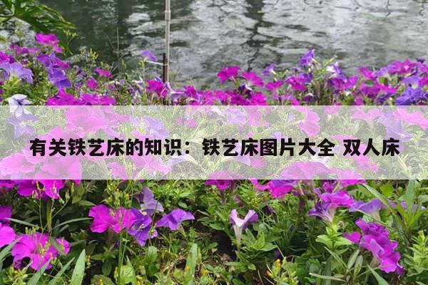 有关铁艺床的知识：铁艺床图片大全 双人床