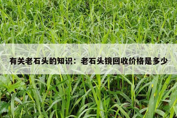 有关老石头的知识：老石头镜回收价格是多少