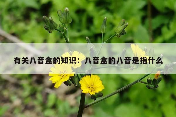 有关八音盒的知识：八音盒的八音是指什么