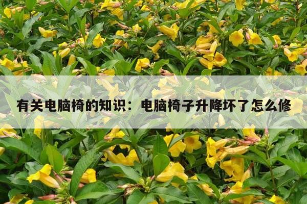 有关电脑椅的知识：电脑椅子升降坏了怎么修