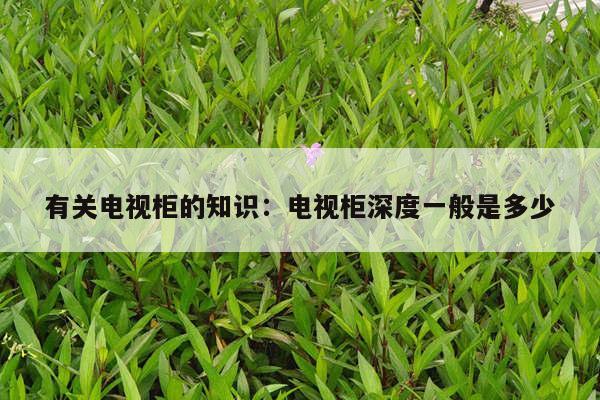 有关电视柜的知识：电视柜深度一般是多少