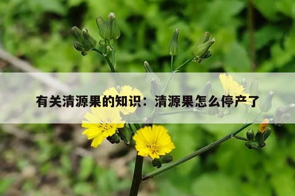 有关清源果的知识：清源果怎么停产了