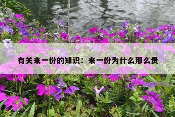 有关来一份的知识：来一份为什么那么贵