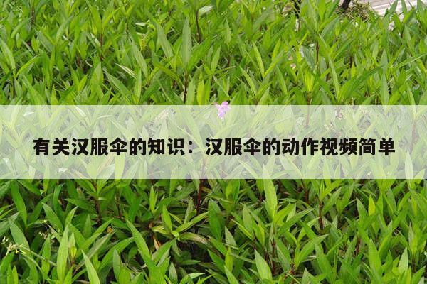 有关汉服伞的知识：汉服伞的动作视频简单