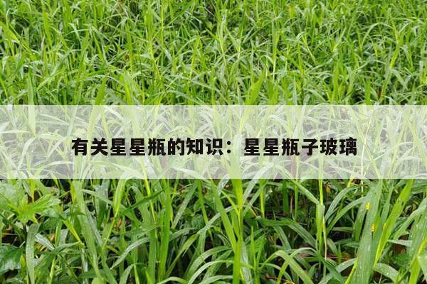 有关星星瓶的知识：星星瓶子玻璃