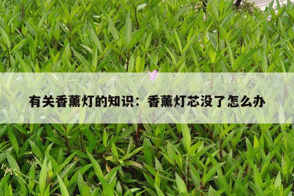 有关香薰灯的知识：香薰灯芯没了怎么办