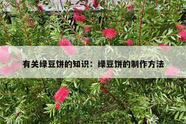 有关绿豆饼的知识：绿豆饼的制作方法