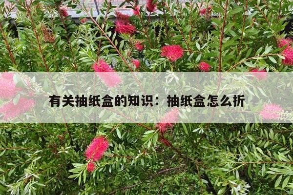 有关抽纸盒的知识：抽纸盒怎么折
