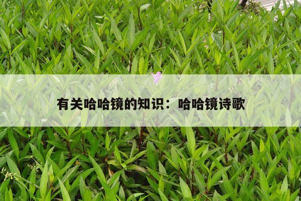 有关哈哈镜的知识：哈哈镜诗歌