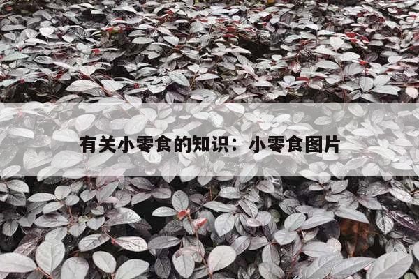 有关小零食的知识：小零食图片
