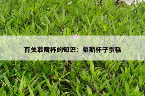 有关慕斯杯的知识：慕斯杯子蛋糕
