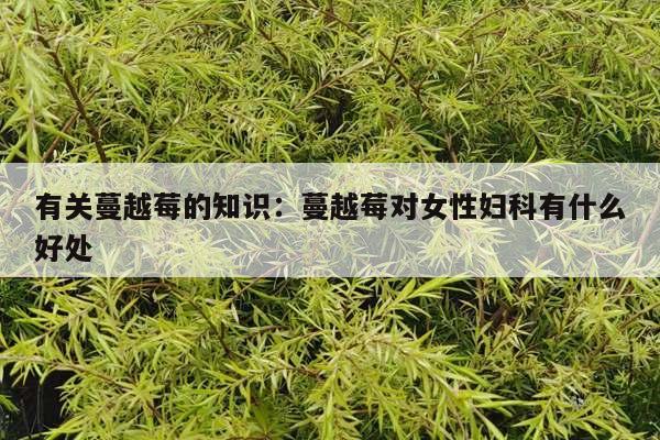 有关蔓越莓的知识：蔓越莓对女性妇科有什么好处