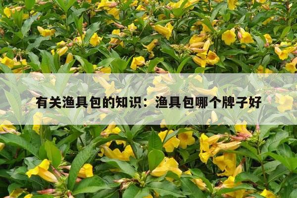 有关渔具包的知识：渔具包哪个牌子好