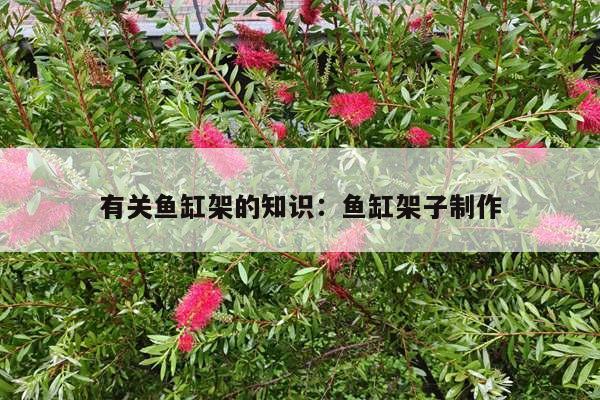 有关鱼缸架的知识：鱼缸架子制作