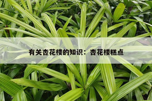 有关杏花楼的知识：杏花楼糕点
