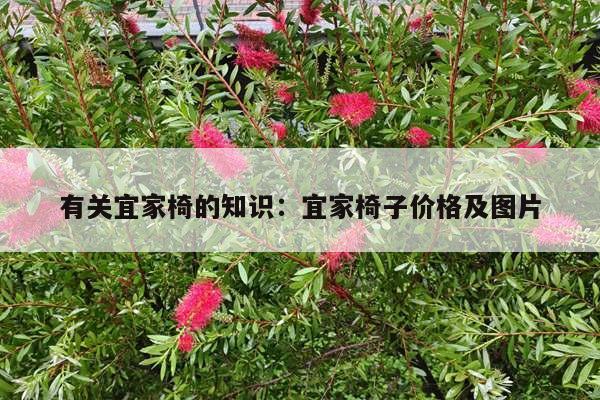 有关宜家椅的知识：宜家椅子价格及图片