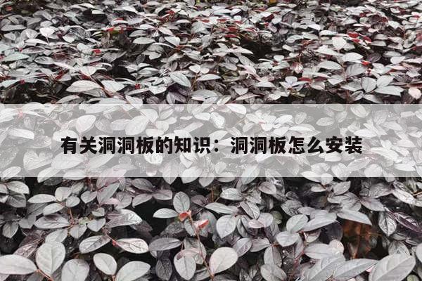 有关洞洞板的知识：洞洞板怎么安装